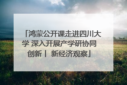 鸿蒙公开课走进四川大学 深入开展产学研协同创新丨 新经济观察