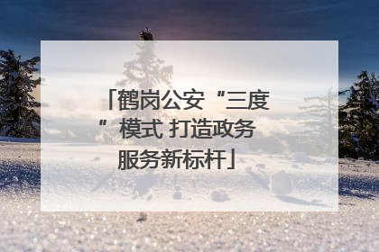 鹤岗公安“三度”模式 打造政务服务新标杆