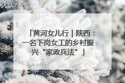 黄河女儿行｜陕西：一名下岗女工的乡村振兴“家政兵法”