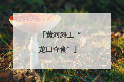黄河滩上“龙口夺食”
