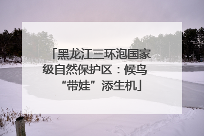 黑龙江三环泡国家级自然保护区：候鸟“带娃”添生机