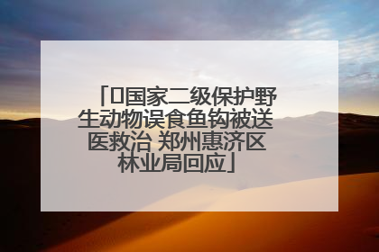 ﻿国家二级保护野生动物误食鱼钩被送医救治 郑州惠济区林业局回应