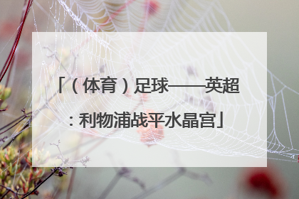 （体育）足球——英超：利物浦战平水晶宫