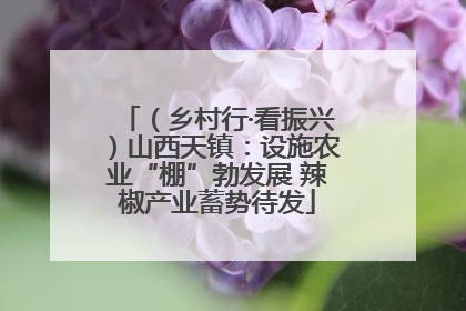 （乡村行·看振兴）山西天镇：设施农业“棚”勃发展 辣椒产业蓄势待发