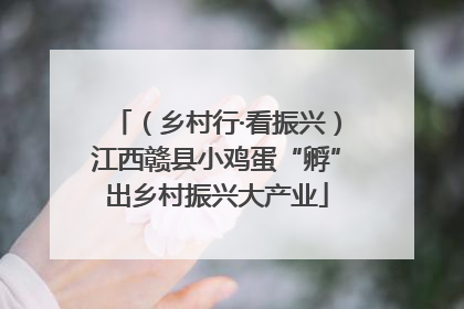 （乡村行·看振兴）江西赣县小鸡蛋“孵”出乡村振兴大产业