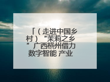 （走进中国乡村）“茉莉之乡”广西横州借力数字智能 产业升级香飘海外