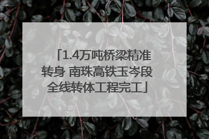 1.4万吨桥梁精准转身 南珠高铁玉岑段全线转体工程完工