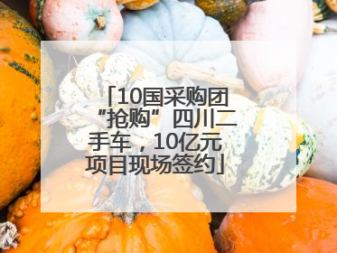 10国采购团“抢购”四川二手车，10亿元项目现场签约