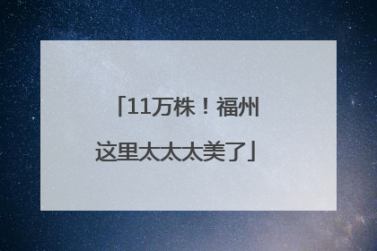 11万株！福州这里太太太美了