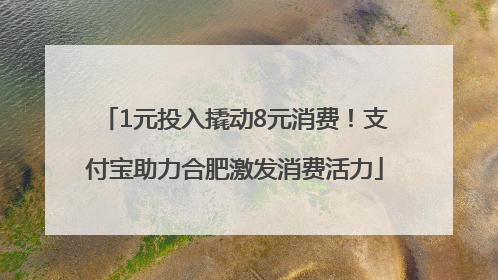 1元投入撬动8元消费！支付宝助力合肥激发消费活力