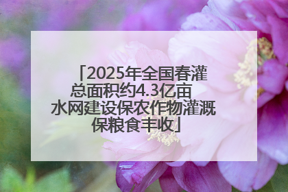 2025年全国春灌总面积约4.3亿亩 水网建设保农作物灌溉 保粮食丰收