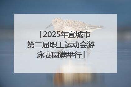 2025年宜城市第二届职工运动会游泳赛圆满举行