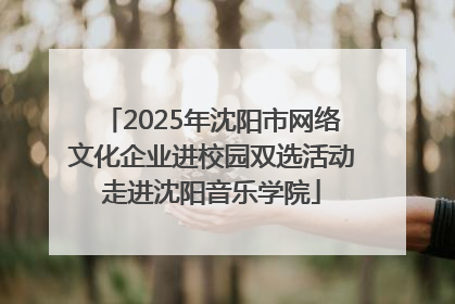2025年沈阳市网络文化企业进校园双选活动走进沈阳音乐学院