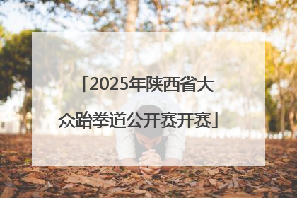 2025年陕西省大众跆拳道公开赛开赛