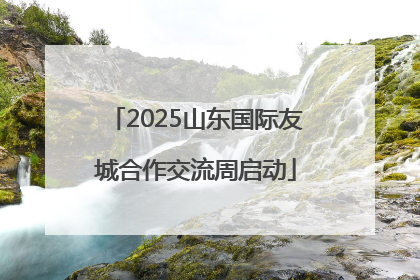 2025山东国际友城合作交流周启动