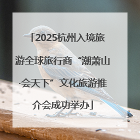 2025杭州入境旅游全球旅行商“潮萧山·会天下”文化旅游推介会成功举办