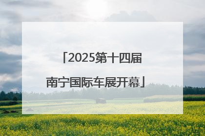 2025第十四届南宁国际车展开幕