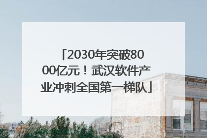 2030年突破8000亿元！武汉软件产业冲刺全国第一梯队