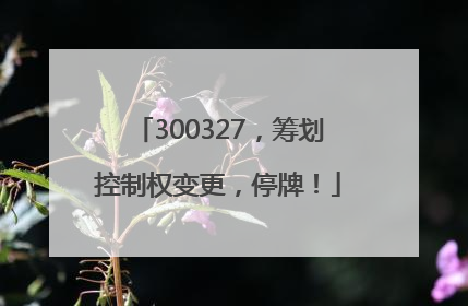 300327，筹划控制权变更，停牌！