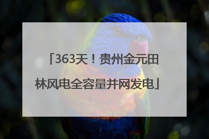 363天!贵州金元田林风电全容量并网发电