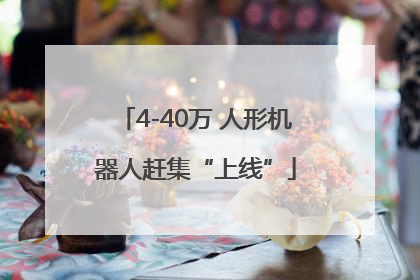 4-40万 人形机器人赶集“上线”