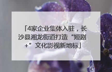 4家企业集体入驻，长沙县湘龙街道打造“短剧+”文化影视新地标