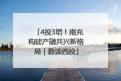 4投3增！南充构建产融共兴新格局｜数读西投