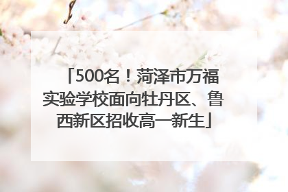 500名！菏泽市万福实验学校面向牡丹区、鲁西新区招收高一新生