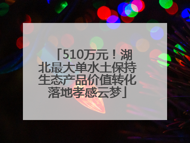 510万元！湖北最大单水土保持生态产品价值转化落地孝感云梦