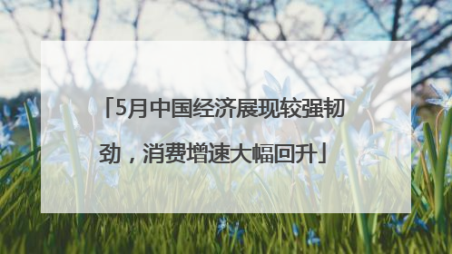 5月中国经济展现较强韧劲，消费增速大幅回升