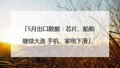 5月出口数据：芯片、船舶继续大涨 手机、家电下滑