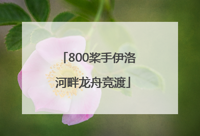 800桨手伊洛河畔龙舟竞渡