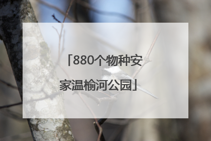 880个物种安家温榆河公园