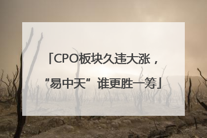 CPO板块久违大涨，“易中天”谁更胜一筹