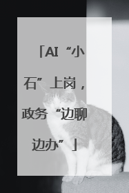 AI“小石”上岗，政务“边聊边办”