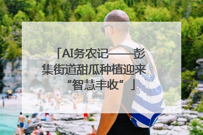 AI务农记——彭集街道甜瓜种植迎来“智慧丰收”