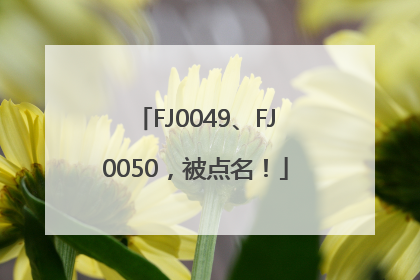 FJ0049、FJ0050，被点名！