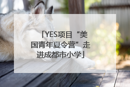YES项目“美国青年夏令营”走进成都市小学